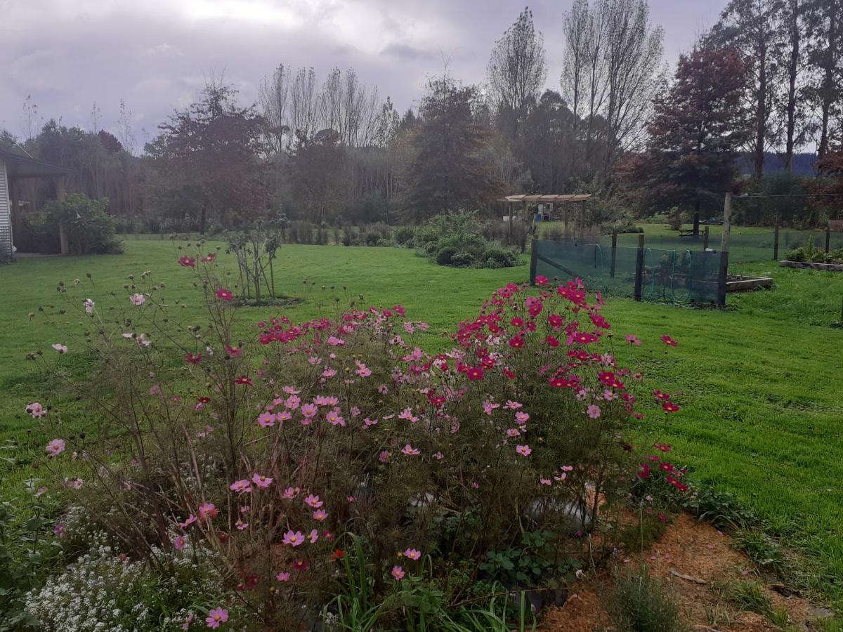 Pin Oaks Hotel Whanganui Bagian luar foto